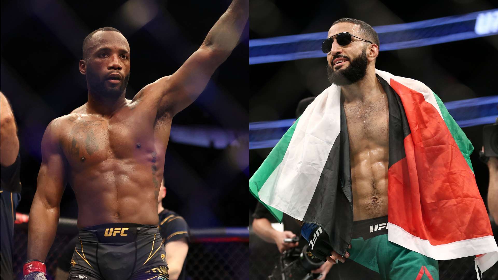 動機非常明 動機非常明